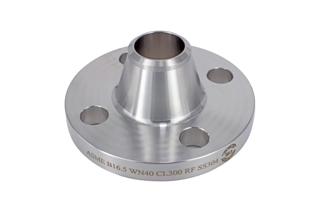 ASME B16.5 Class 300 Raise Face SS304 Wn40 Weld Neck Flange