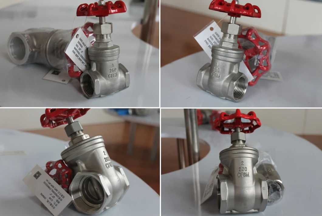 Stainless Steel 200wog Non-Rising Stem Threaded NPT/BSPP/BSPT Gate Valve